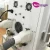 Import Multifunction cryo slimming  cryolipolysis lipo laser machine from China