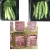 Import Multifunctional vacuum skin packing machine processing fish skin pack machine from China