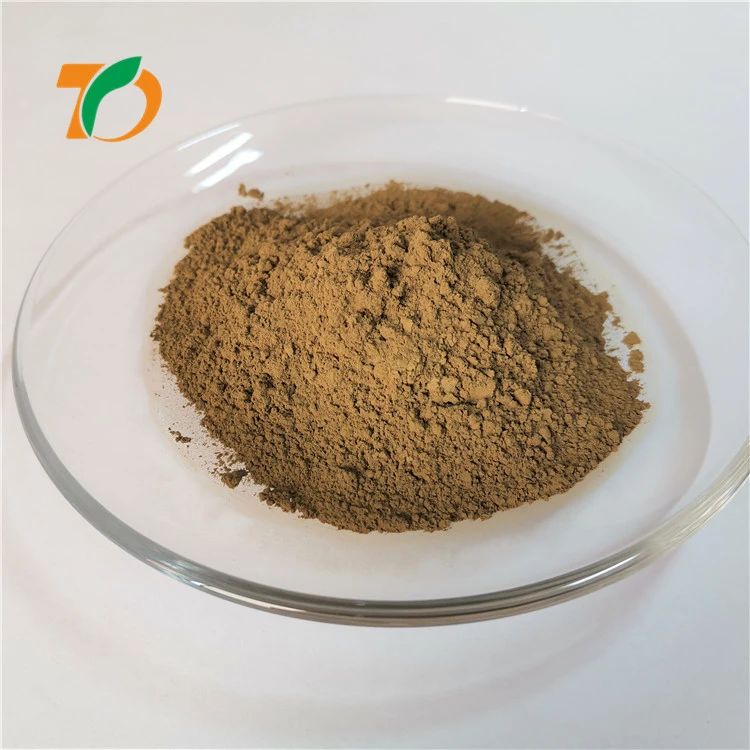 Natural 10:1 Tartary Buckwheat Seed Extract Powder