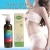 Import Natural Seaweed Ginger Extract Essential Oil Ingredients Slimming gel 200ml Remove the excess body fat from China