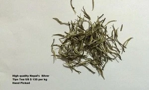 Nepal silver tips tea