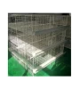 New breeding equipment pigeon cage, quail cage small brooding cage