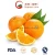 Import New Crop Delicious Navel Orange (56-64-72/15kg carton) from China