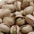 Import New Harvest Roasted Pistachio Nuts, Cashew, Walnuts,  Almonds,Hazelnuts. from Canada