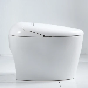 New multifunctional automatic sensor smart toilet