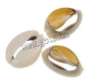 New Trumpet Shell beads jewelry making bulk bead Oval natural no hole 18-24mm 722203