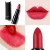 Import OEM Private label vegan Wholesale Makeup cream Lipstick 10 colors Matte Lipstick from China
