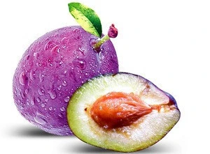 Organic 100% pure Kakadu plum extract with factory price