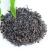 Import Organic Certified Mild Wholesale Pure Ceylon Premium Black Tea from China