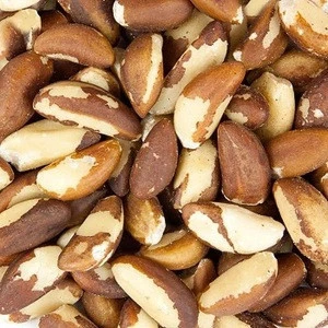 Organic Premium Brazil Nut raw/roasted/organic Brazil Nuts
