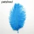 Import Ostrich plume for decoration H0TGC large ostrich feather from China