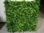 Import Outdoor use artificial decorative wall grass plants from China
