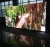 Import P8 outdoor full color led screen display panel advert module video wall from China