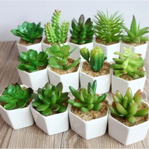 Pack of 6 Mini Different Succulents Artificial Plants with 6 Small Round White Planter Pots for Home Decoration in Green color