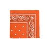 Paisley Polyester Bandana 22 inches Sold in Units Multi Uses Face Covering Napkins Handkerchief Scarf