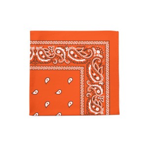 Paisley Polyester Bandana 22 inches Sold in Units Multi Uses Face Covering Napkins Handkerchief Scarf