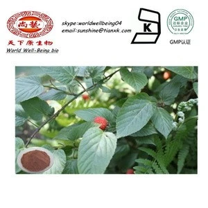 Palm Leaf Raspberry Fruit Extract Powder / Rubus idaeus Raspberry Ketone Extract Powder / Fructus Rubi P.E.