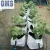 Import PE Black white growing bags for hydroponic system from China