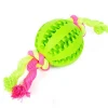 Pet Dog Rubber Chew Toys Funny Interactive Elasticity Ball Pet Chew Gnawing Toys for Dog Tooth Cleaning Ball Of Food Balls