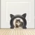 Import Pet Interior door kitty pass black and white color fish bone cat doors from China