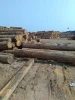 pine sawn timber charcoal