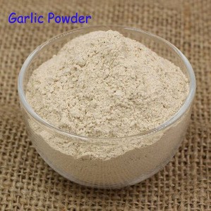 Plant Extract Dried Garlic Powder