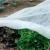 Import Plant Mulching Film Agriculture Ground Covers Landscape Plant Cover from China