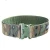 Import Plastic Buckle Mens Military Belt Tactical Belts from China