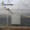 Plastic Film Greenhouse Use Greenhouses Film China Multi-span PO Film Greenhouse