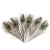 Import PM-012 Wholesale beautiful natural peacock feathers from China