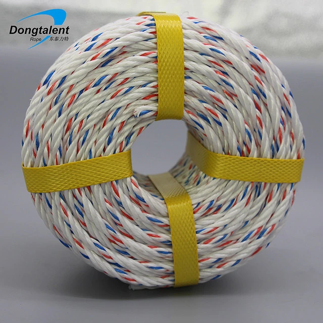 Polyethylene Rope Sogas Nylon Polyethylene 3 Strand Packaging Rope Multicolor Twist Rope Wholesale Dongtalent 3/4 Strands CN;SHN