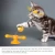 Import Popular Pet Cat Spring Windmill Interactive Cat Toy from China