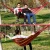 Import Portable hammock outdoor hammock garden double hammock chair with stand from China