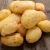 Import Potatoes are grown fresh and in bulk from China