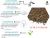 Import Premium Bentonite Dust Free Cat Litter Bulk 7kg 15kg from China