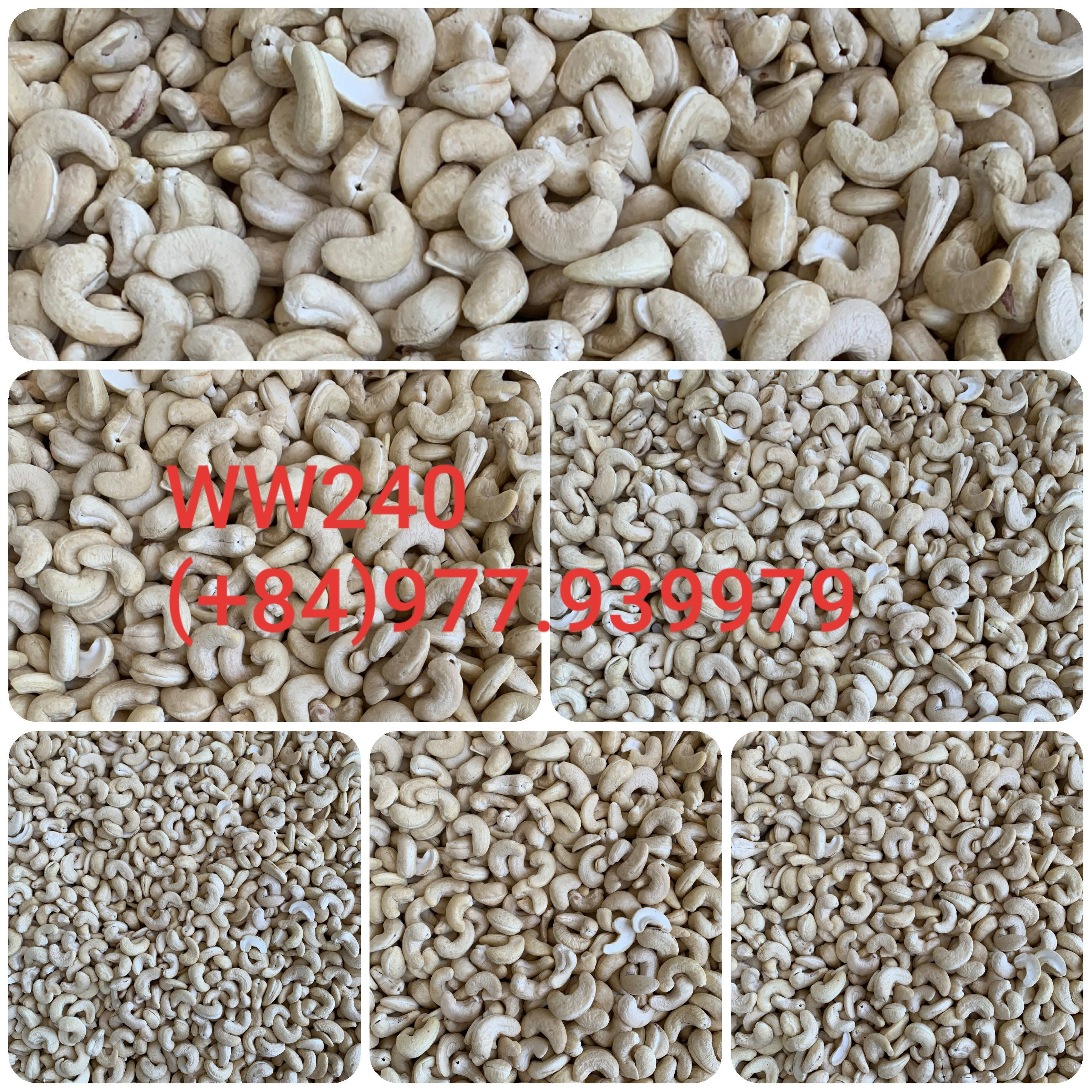 Premium Quality Common Dried Baked Cashew Nuts Kernels with 5% max Moiture from Vietnam
