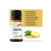 Private Label 100% Pure Natural Organic Ginger Massage Essential Oil