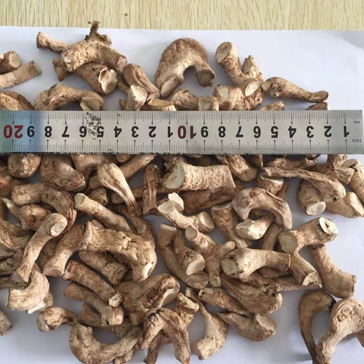 Professional Export Light Brown Organic Cheap Price Shiitake Mushroom