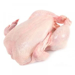 Quality Frozen Whole Chicken Feet with HALAL Certificate
