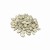 Import Raw &amp; dried 13mm snow white pumpkin seeds  for hot sale from China
