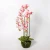 Import Real touch feeling latex made 5 branches artificial orchid plants orchid bonsai plant for decoration from China