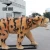 Import Realistic animal model animatronic saber-toothed tiger from China