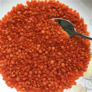 Red lentil  pure organic form Turkey best quality