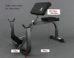Roman Chair Back Extension Fitness Gym Equipment