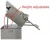 Import Ruibao nitrogen vacuum sealing machine for food, gas flush external vacuum sealer from China