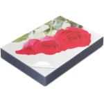 SAITAO Customized 50 Pack 10 Mil PVC Binding Presentation Covers Plastic Binding Covers for Report