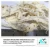 Import Seasoned dried squid snacks wholesale from China
