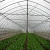 Import Skyplant tunnel Commercial Green house easy assemble Double Film Single-Span Agricultural Greenhouses from China