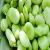 Import small size broad beans from China