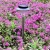 Import solar lamp for garden and yard path way lighting from China
